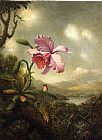 Hummingbird and Orchid, Sun Breaking Through the Clouds by Martin Johnson Heade